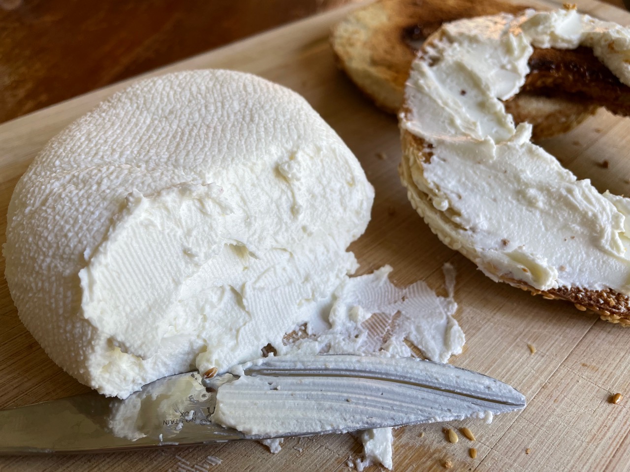 Homemade cream cheese