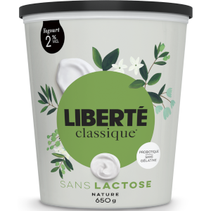 Yogourt Classique nature sans lactose